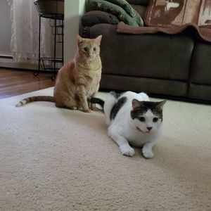 Meet your Posher, Rhianna